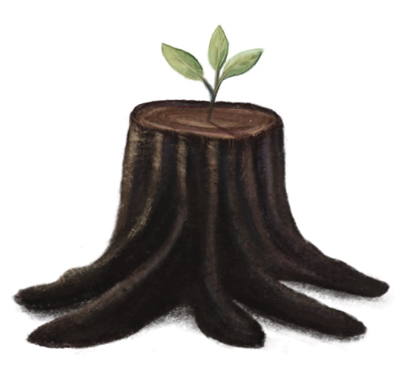 Biologia_e_poesia_arvore_cortada