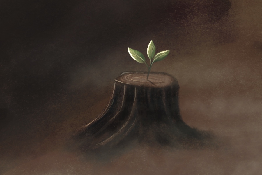 Biologia_e_poesia_planeta_Terra_educação_ambiental