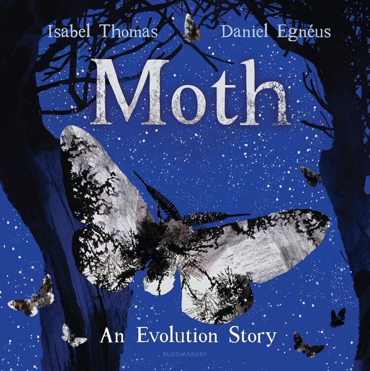 Moth an evolution story